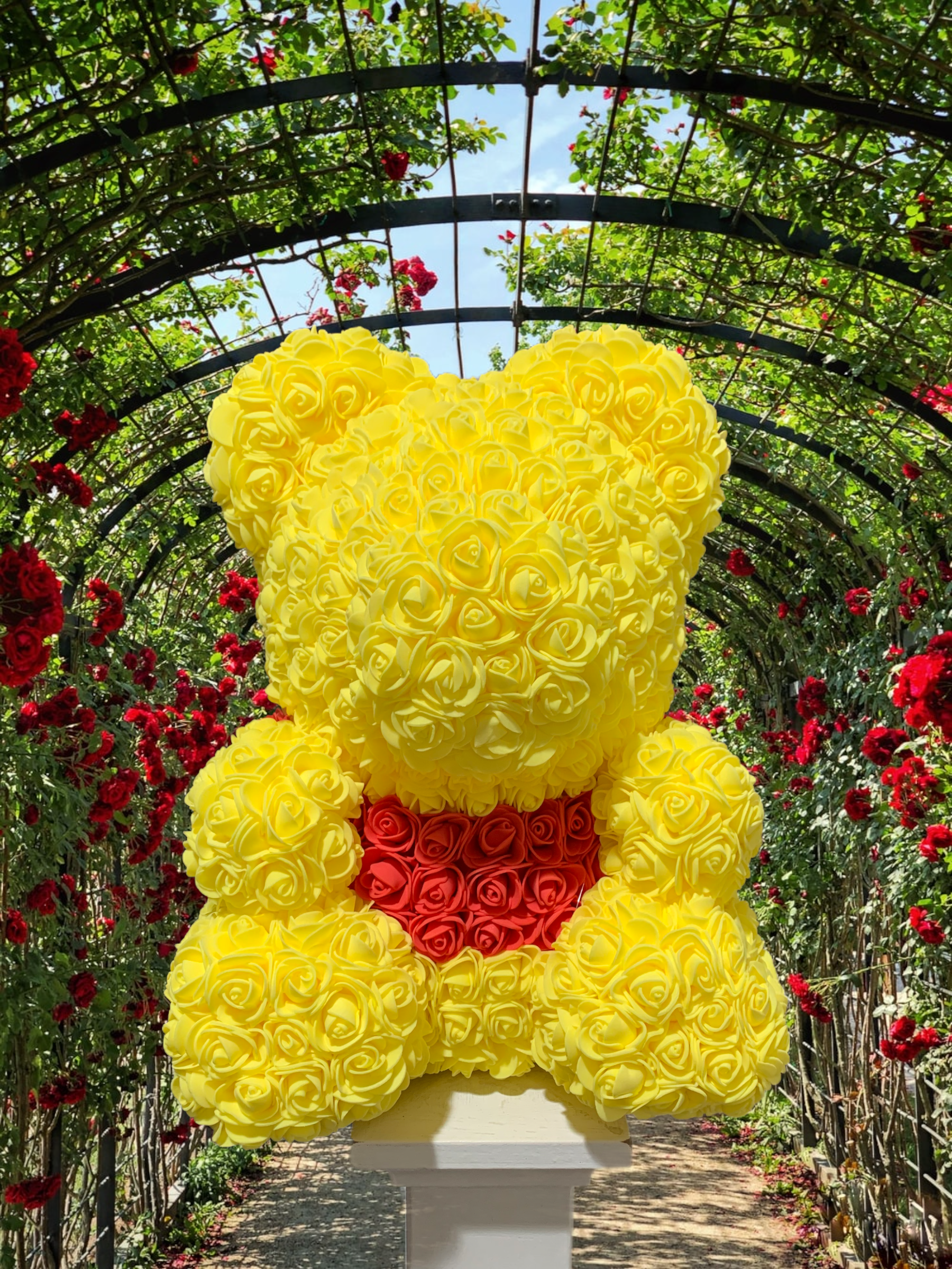 Teddy bear sales shaped roses