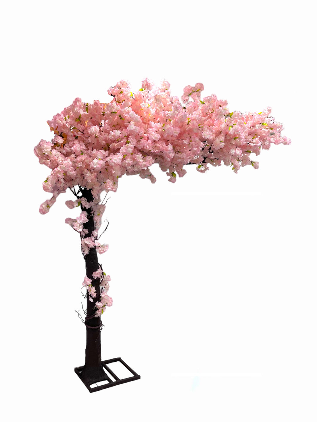 Cherry Blossom Tree - Rental