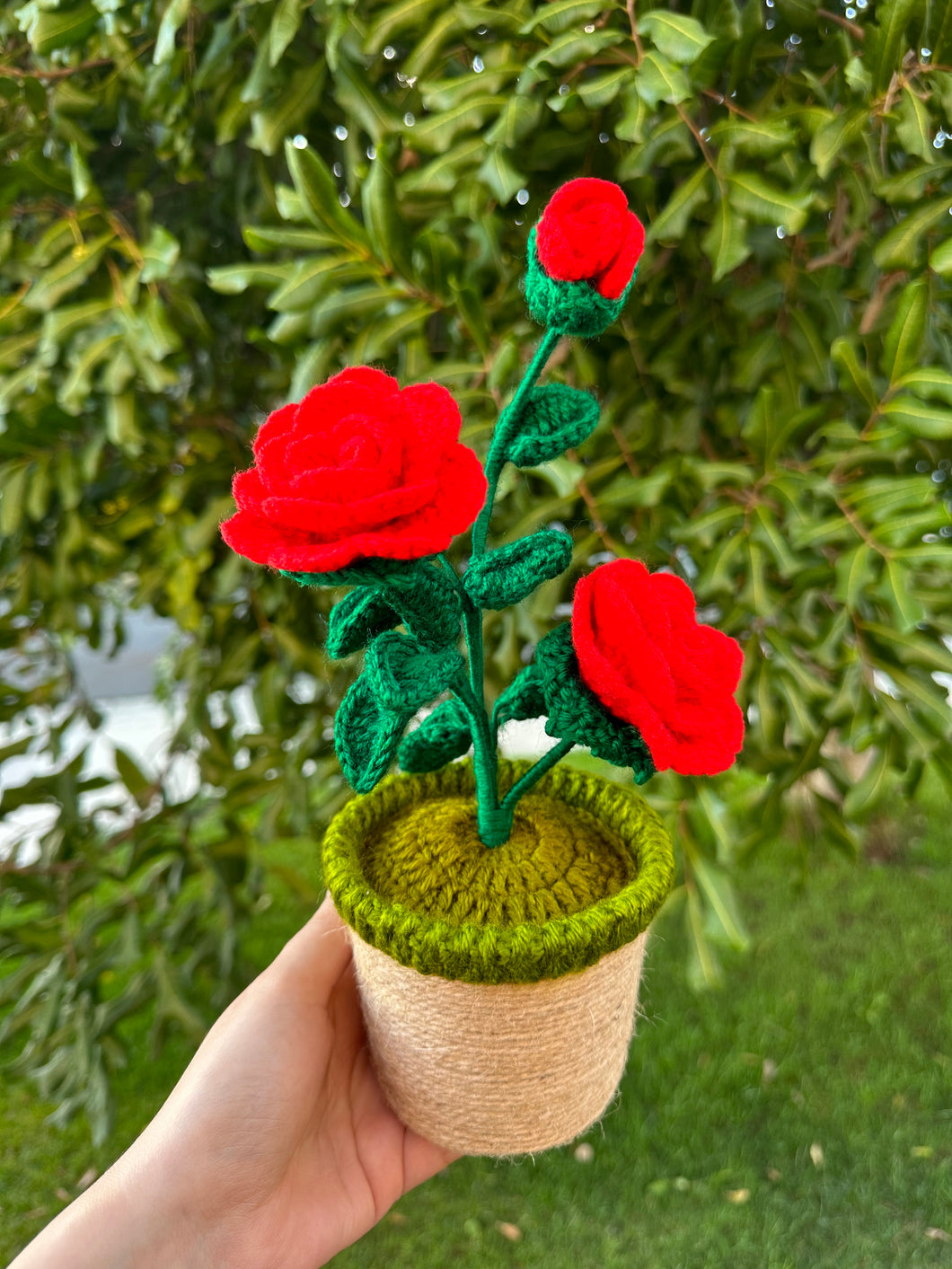 Rose Flower Pot Crochet
